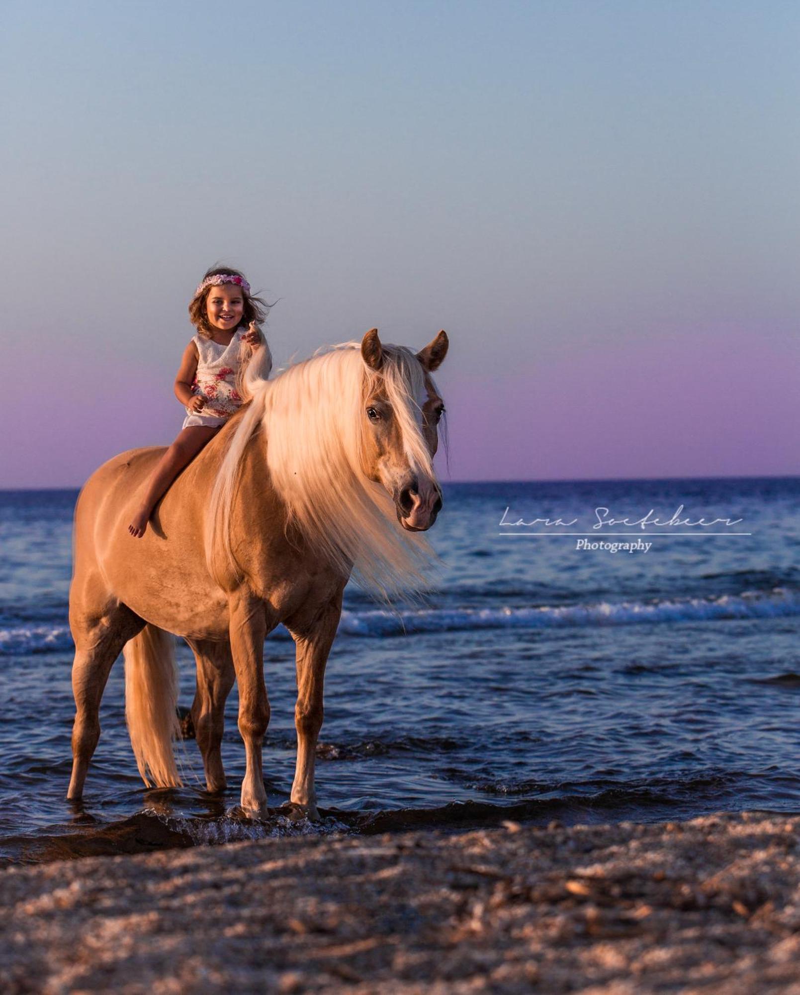 Arion Stables & Apartments 헐소니소스 외부 사진