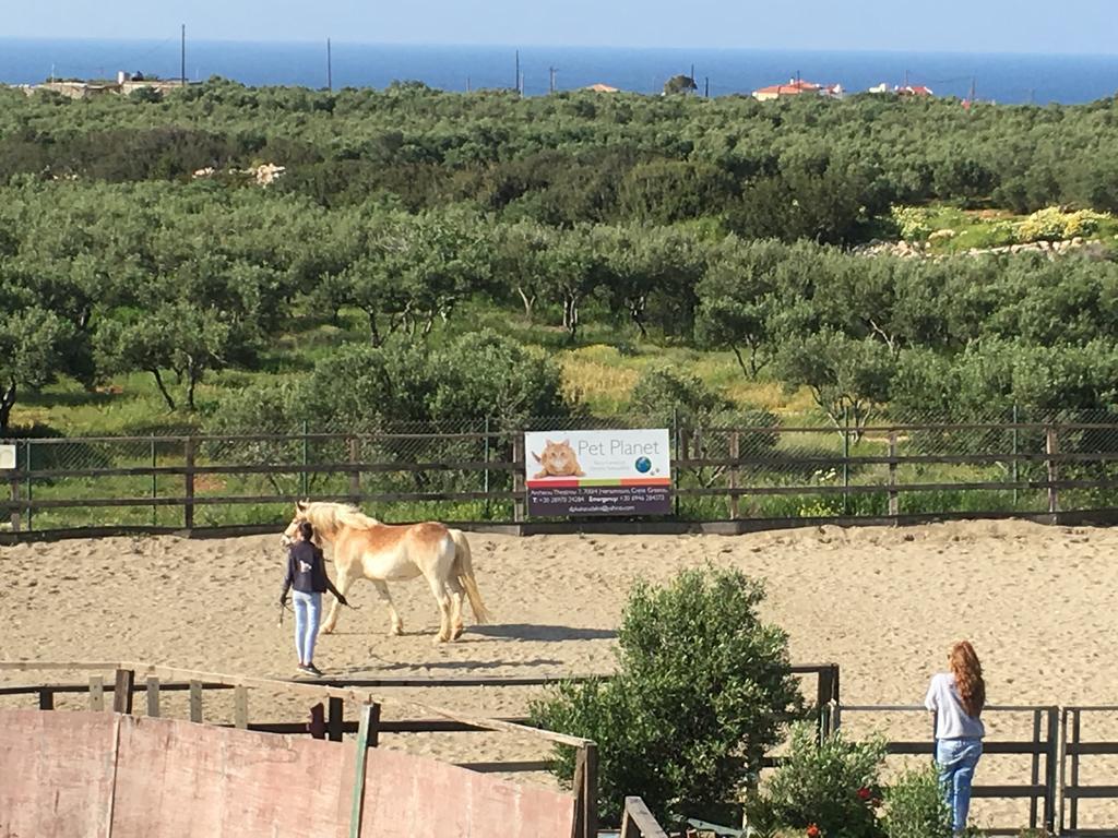 Arion Stables & Apartments 헐소니소스 외부 사진