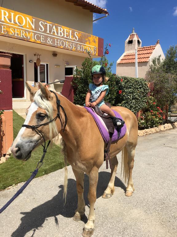 Arion Stables & Apartments 헐소니소스 외부 사진